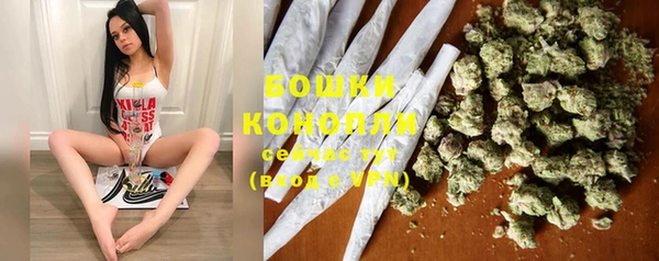 дурь Корсаков